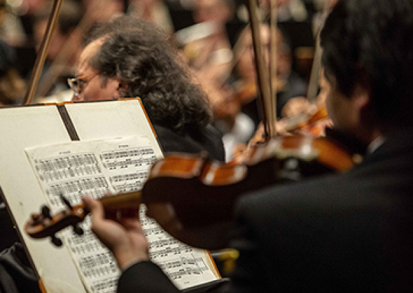 Generan grupos artísticos UG presentaciones desde casa para disfrute de la comunidad universitaria y la sociedad en general