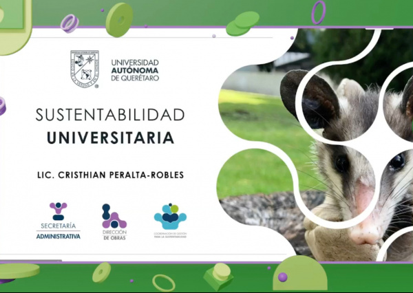 Universidades comparten experiencias y estrategias para impulsar sustentabilidad estudiantil