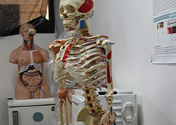 UG investiga la estructura humana para crear estrategias terapéuticas 