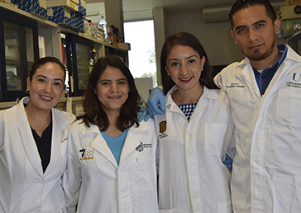 Dan reconocimiento internacional al programa de Ingeniería en Alimentos de la UG