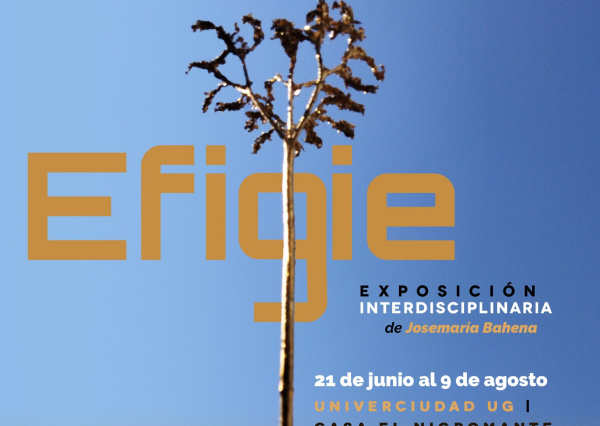 Llevan exposiciones artísticas a las Univerciudades de la UG