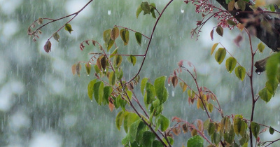 Prevé Observatorio Meteorológico de la UG una semana con lluvias y vientos ligeros en Guanajuato