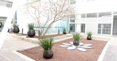 El Campus León de la UG se pone verde