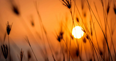 Disminuirán lluvias en Guanajuato y aumentará el calor como efecto de la canícula, pronostica meteorólogo UG