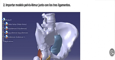 SOMIB premia artículo de modelado tridimensional desarrollado entre la UG y la Universidad de Zaragoza