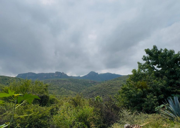 Pronostican lluvias moderadas para Guanajuato durante la última semana de agosto
