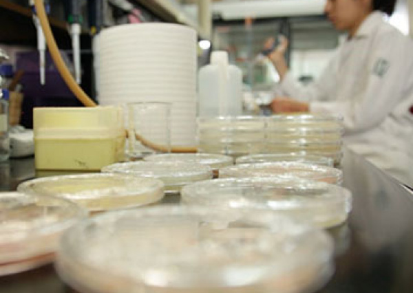 Con actividades híbridas, se genera nuevo conocimiento en la División de Ciencias e Ingenierías de la UG