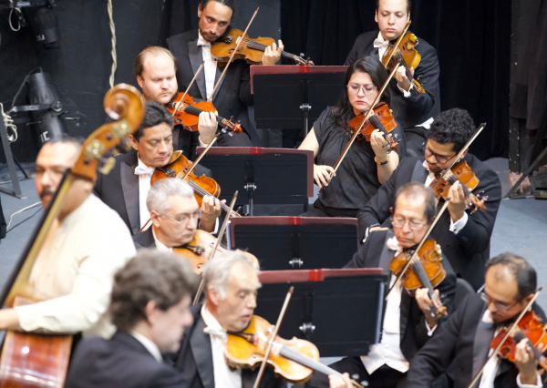 Acompañará Mariana Martínez a la OSUG con obras de Florence Price y William Grant Still