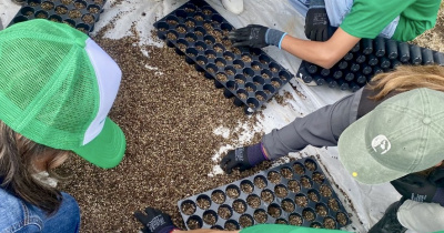 UG impulsa la conservación ambiental con el Vivero de Propagación de Árboles Nativos