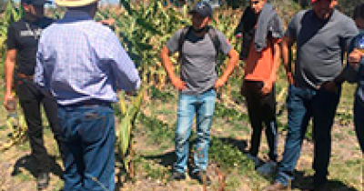 El Centro Interdisciplinario de Agroecología de la UG recibe visita de estudiantes del ITESS