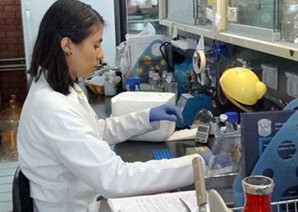 Invitan a participar en edición virtual del Verano de la Ciencia UG 