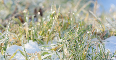 Frente frío llega a Guanajuato, meteorólogo de la UG anticipa madrugadas heladas y tardes cálidas