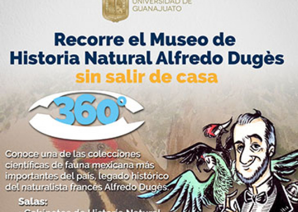 Invita UG a recorridos virtuales del Museo Alfredo Dugès