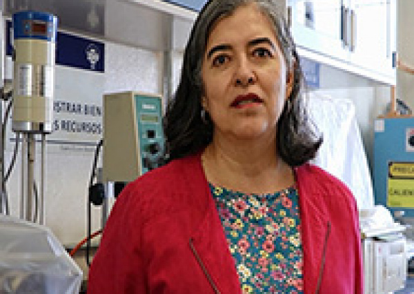 UG obtiene patente por el proceso de obtención de fibra y cutícula de nopal 