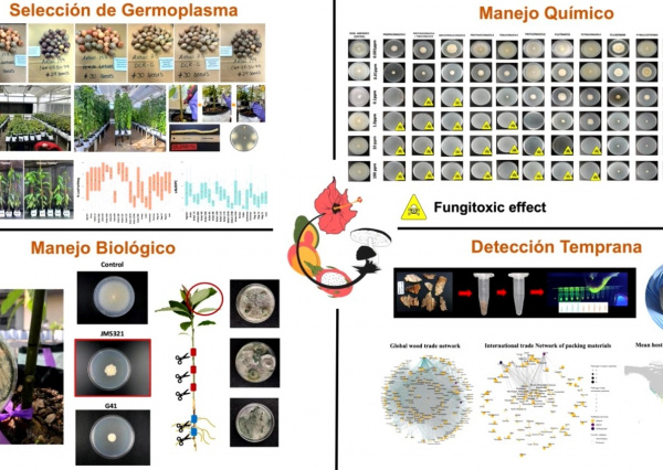 Presentan prácticas agrícolas sostenibles a nivel internacional en las Jornadas de Agronomía UG