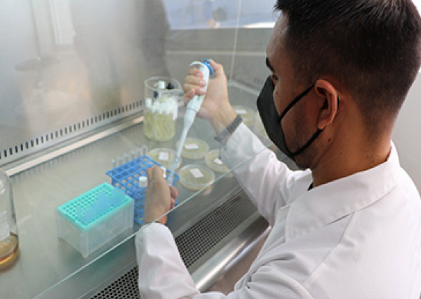 Desarrolla UG proyecto para extraer contaminantes del agua con fibras del nopal 