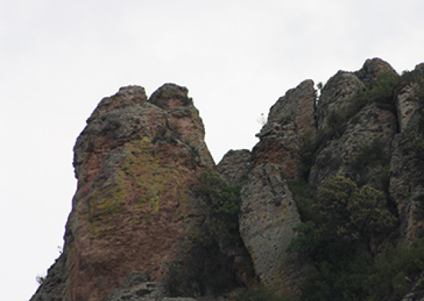 Se realizará en UG VIII Simposio sobre ecosistemas de montaña en México