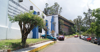 Comienza etapa de consulta a la comunidad universitaria de la DCNE para designar a su Titular de División