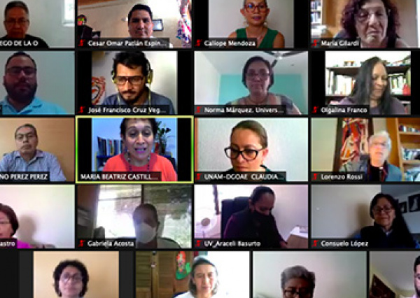 Comparte UG experiencias y resultados del Programa Emergente para la Prevención del Rezago Educativo, en sesión de la ANUIES 