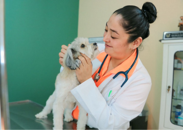 Egresada de la UG impulsa la protección y bienestar animal en Silao