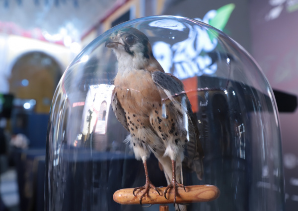 La Universidad de Guanajuato celebra el legado científico de Alfredo Dugés a 200 años de su natalicio