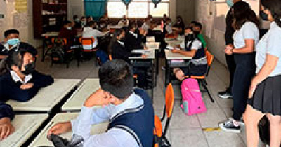 “Abejas que Construyen” una manera de fomentar la Cultura de Paz