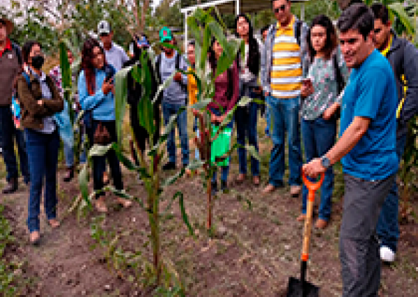 Experto en Agroecología enseña la captura de organismos benéficos y antagónicos para una agricultura sustentable