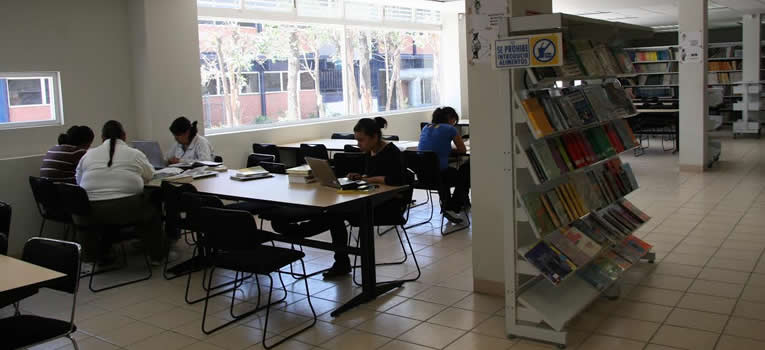 centro-estudios-acciones-desarrollo-social-humano-universidad-guanajuato-ug-ugto