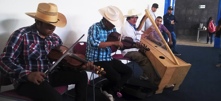 investigadores-dedican-una-jornada-al-estudio-de-instrumentos-musicales-ug-ugto