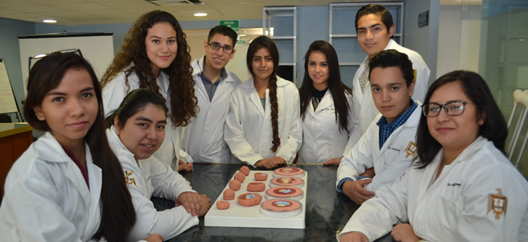 Obtiene re acreditación la Licenciatura de Médico Cirujano | Universidad de Guanajuato (UG, UGTO) re-acreditacion-licenciatura-medico-cirujano-universidad-guanajuato-ug-ugto