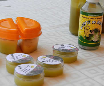 elaboracion-productos-medicinales-alumnos-biotecnologia-universidad-guanajuato-ug-ugto-