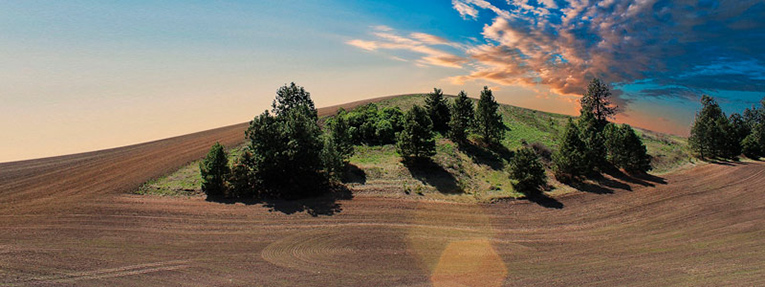 laboratorio-investigacion-agroalimentario-forestal-lanisaf