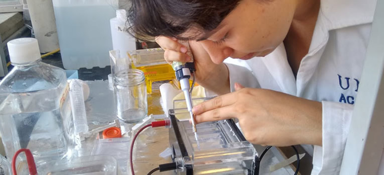 estudian-bacterias-que-participan-degradacion-biomasa-vegetal