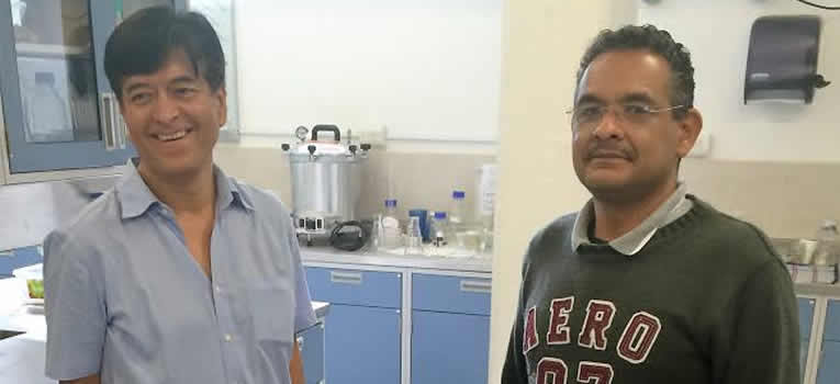 obtienen-patente-para-reciclar-pet-ug-ugto