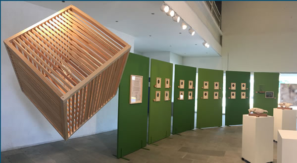 Inauguran en Campus León la exposición “Cartografía visual”, en el marco del Día Mundial del Medio Ambiente | Universidad de Guanajuato (UG) cartografia-visual-universidad-guanajuato-ug