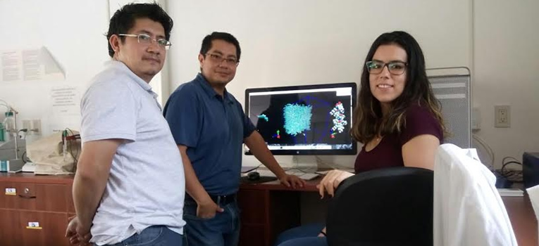 ingenieria-molecular-combustibles-limpios-quimica-analitica-universidad-guanajuato-ug-ugto