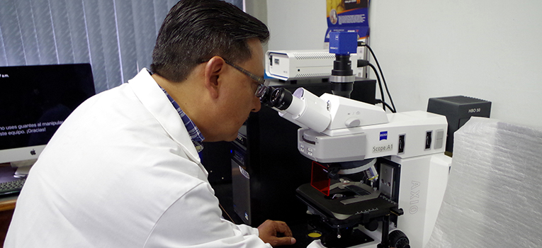 bacteria-reducir-contaminacion-cancerigenos-ug-ugto