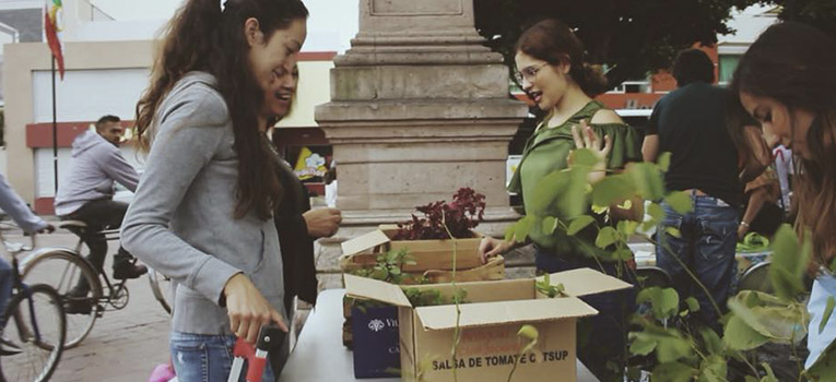 estudiante-crea-gentileza-cuidado-ambiente-ug-ugto