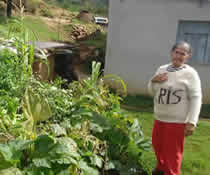 impulsa-sescobre-viveros-verdes-