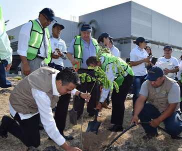 reforestacion-dicis-cemer-universidad-guanajuato-ug-ugto-