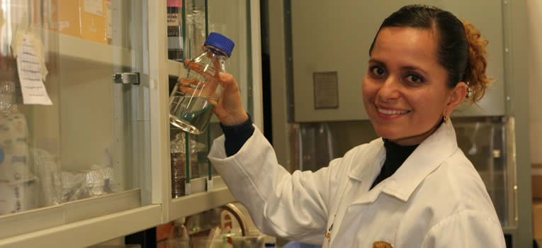 investigadores-ugtrabajan-mejorar-eficacia-tratamiento-cancer-seno-ugto