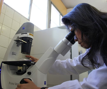 ug-impulsa-la-ciencia-y-el-desarrollo-tecnologico-a-traves-de-vida-ug-ugto-