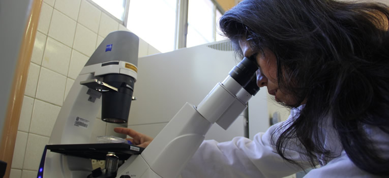 ug-impulsa-la-ciencia-y-el-desarrollo-tecnologico-a-traves-de-vida-ug-ugto