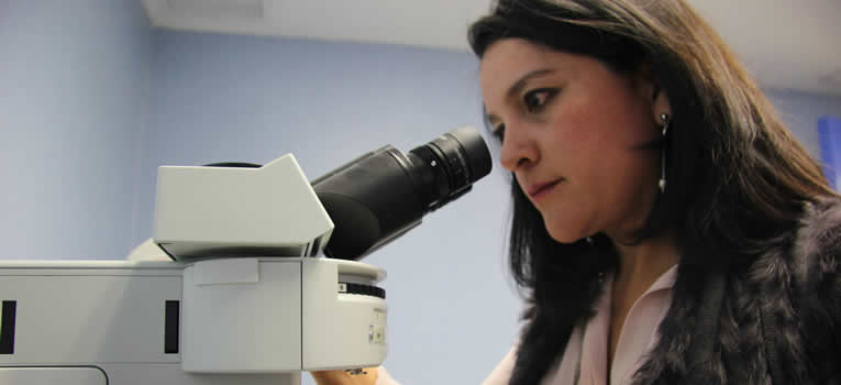 Profesora de la UG investiga los agentes dañinos en la salud de trabajadores del Sector Cuero Calzado - Universidad de Guanajuato profesora-de-la-ug-investiga