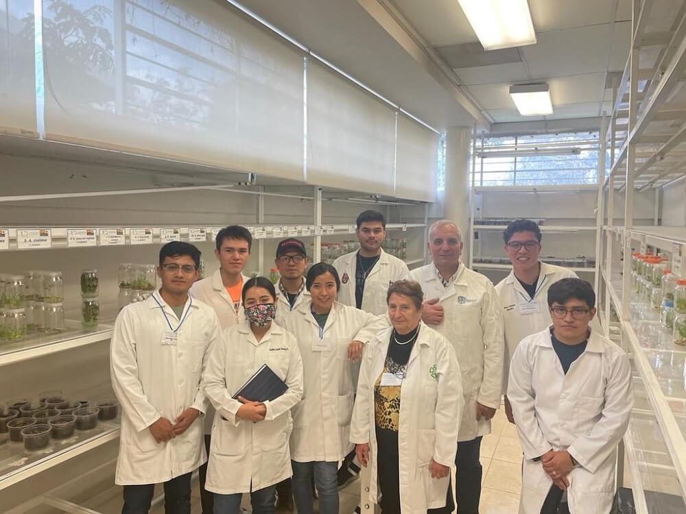 cultivo tejidos vegetales 02