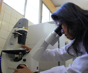 dra-cristina-rincon-ug-ugto