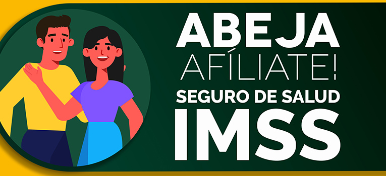 imss-ugto-ug