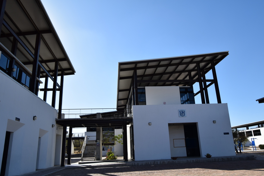 ninas en la ciencia 01