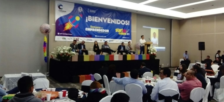 proyecto-alimentos-balanceados-de-comonfort-ug-ugto