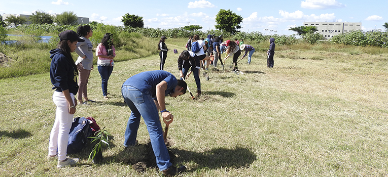 Arboreto Educativo UG, un proyecto de sustentabilidad y rescate del medio ambiente| Universidad de Guanajuato (UG, UGTO) alboreto-educativo-ug-ugto-